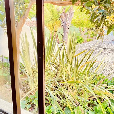 Albufeira Praia Sao Rafael Sun Apartment المظهر الخارجي الصورة