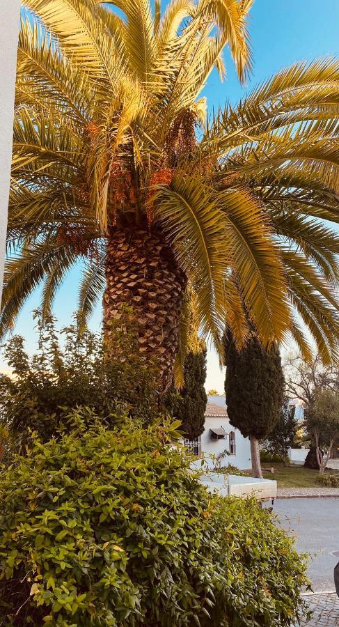 Albufeira Praia Sao Rafael Sun Apartment المظهر الخارجي الصورة